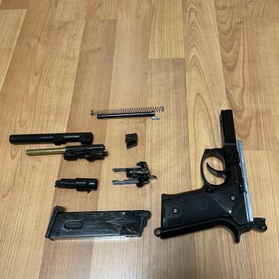 Beretta ls9 blowback dalys