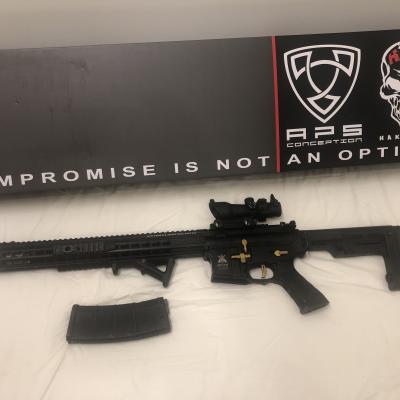 APS Boar Competition AEG