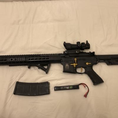 APS Boar Competition AEG