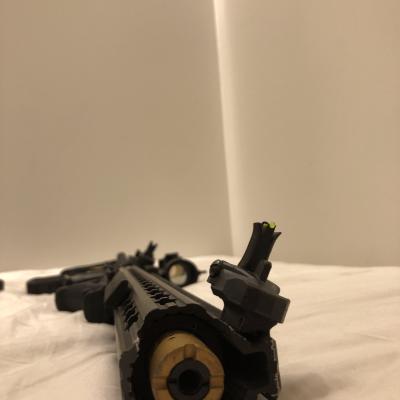 APS Boar Competition AEG