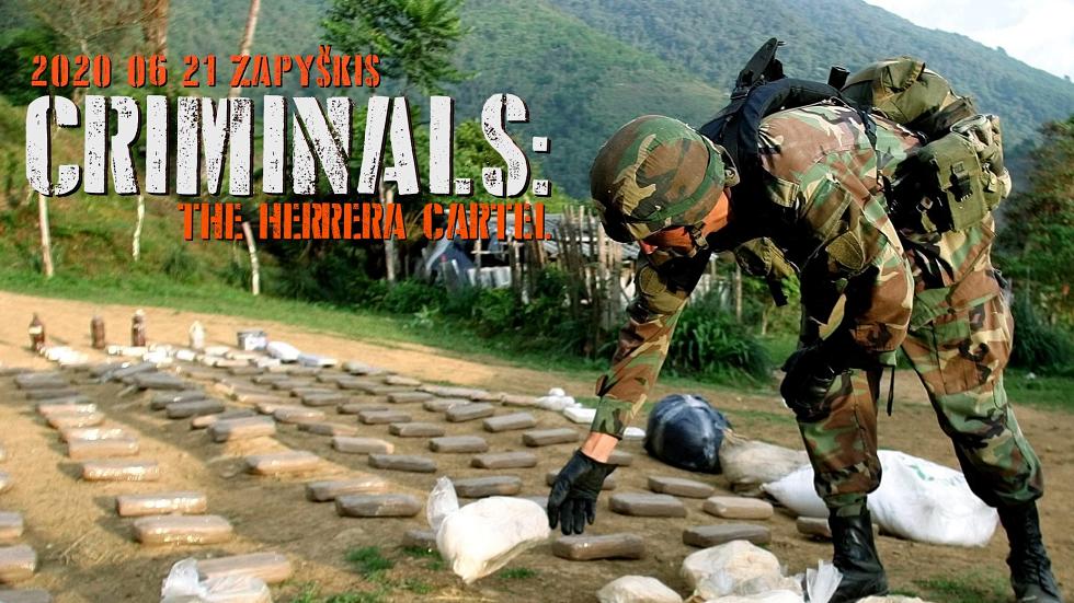 Criminals: The Herrera cartel 2020 06 21 Zapyškis